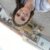 Profile picture of Jessica White